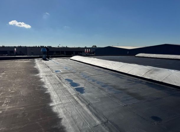 Oud bitumen dak gerenoveerd met vloeibaar rubber in Rijssen