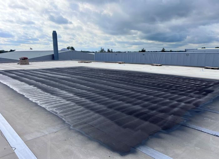 Dak met vloeibare dakbedekking ook wel bekend als luquid rubber