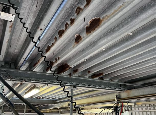 Herstel en conservering van dakplaten in Borculo