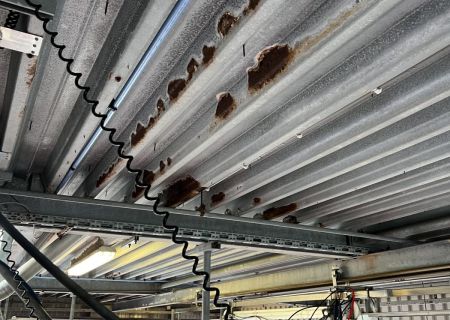 Herstel en conservering van dakplaten in Borculo