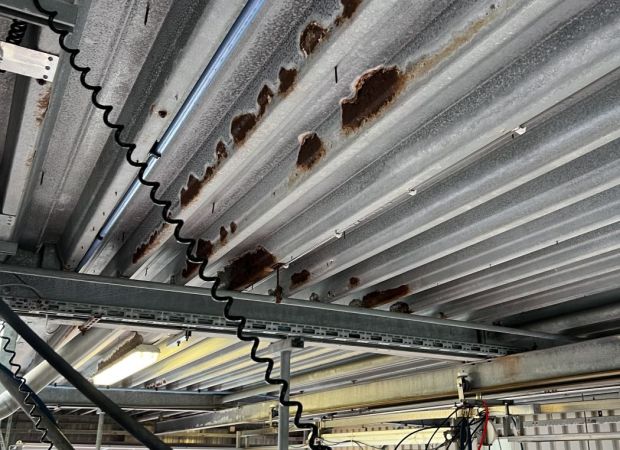 Herstel en conservering van dakplaten in Borculo