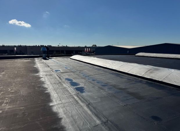 Oud bitumen dak gerenoveerd met vloeibaar rubber in Rijssen