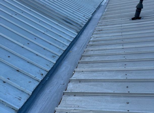 Herstel van goot in Rijssen met vloeibare dakbedekking