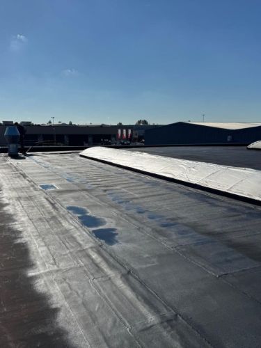 Oud bitumen dak voorzien van vloeibaar rubber – Hevotec, Rijssen