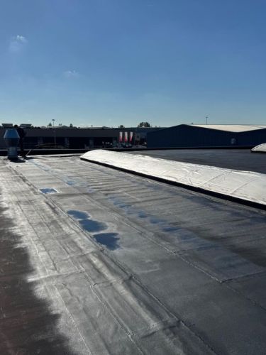 Oud bitumen dak voorzien van vloeibaar rubber – Hevotec, Rijssen